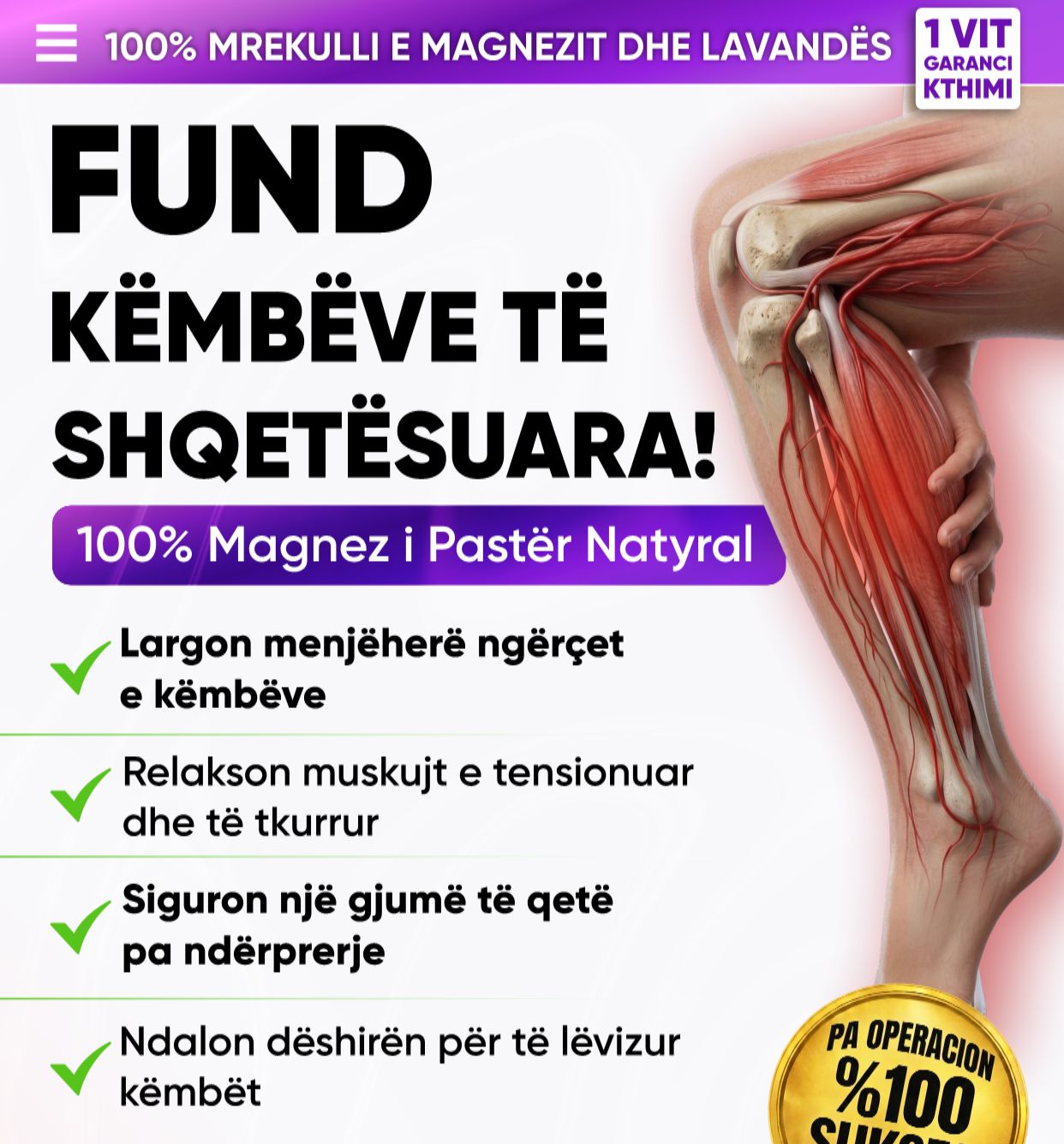 Promotional Imasge 1